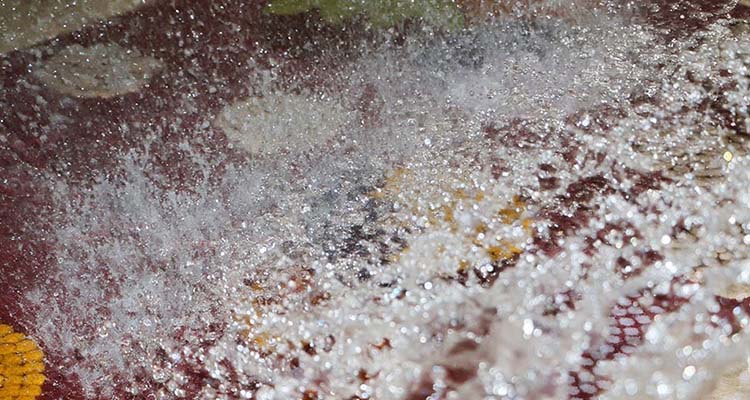 تاریخچه‌ قالیشویی در تهران